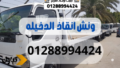 ونش انقاذ سيارات الدخيله 01288994424